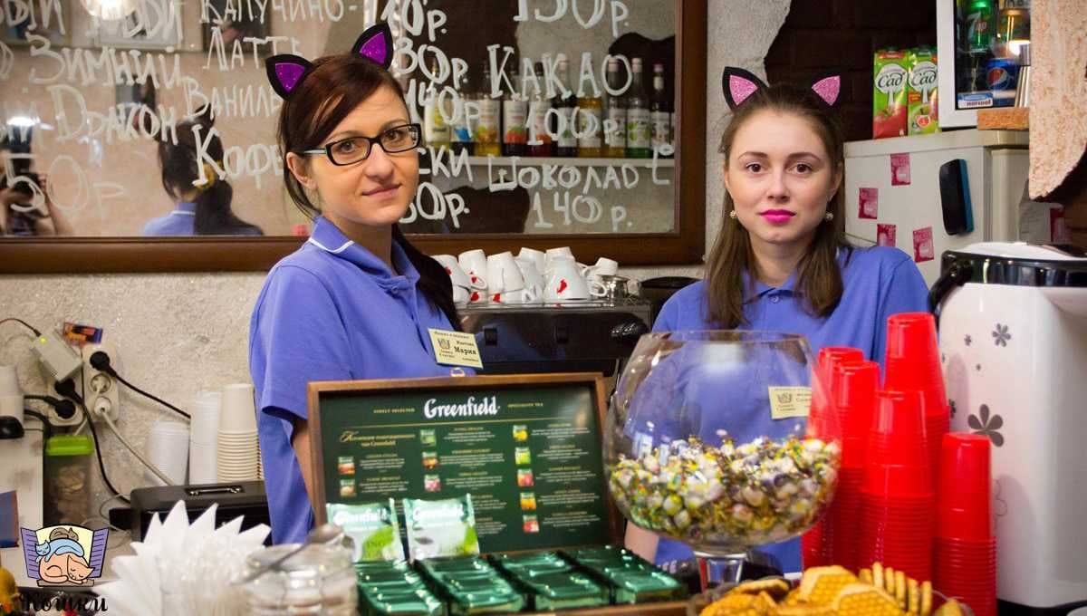 Кафе кошки в окошке - изображение 2