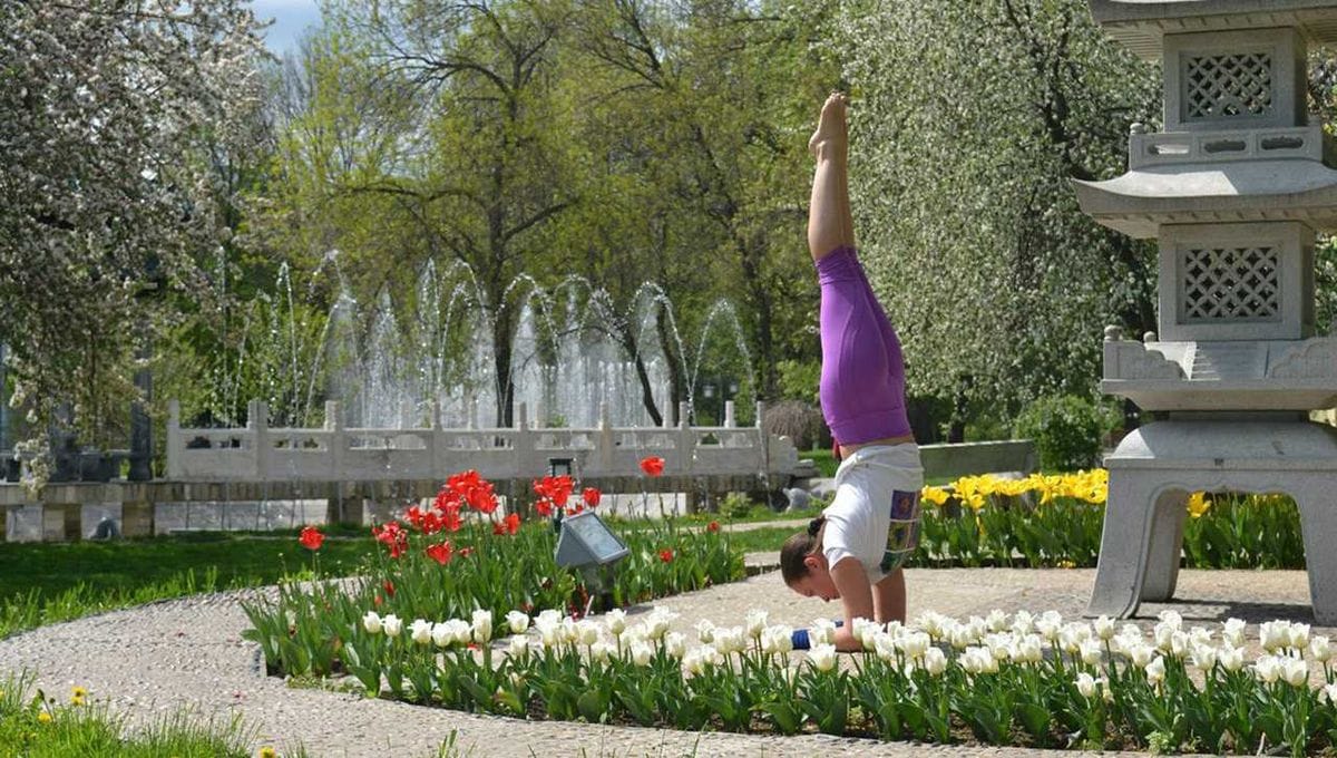 Центр Ментального фитнеса Татьяны Поповой - изображение 3