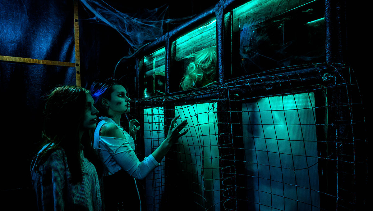 Реалити-квеста «INCUBO» (Инкубо) - изображение 12