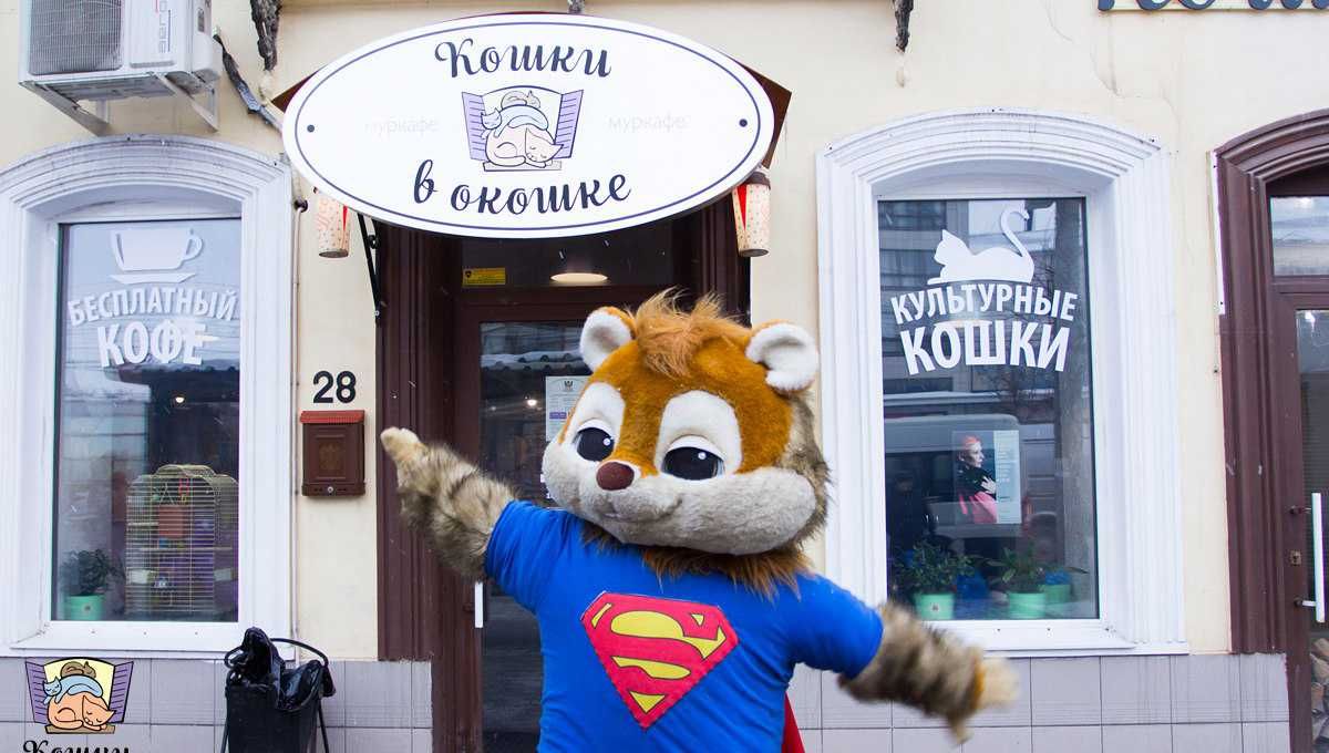 Кафе кошки в окошке - изображение 10
