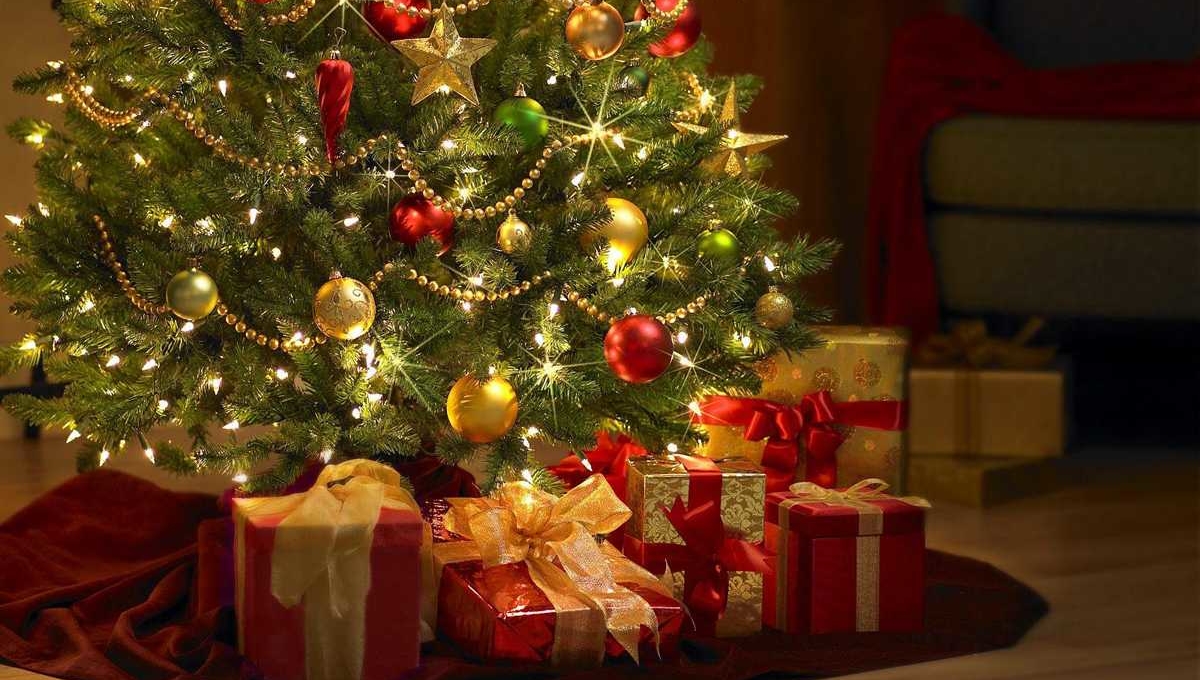 Елки в Туле - изображение 4