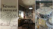 Кафе кошки в окошке - изображение 5