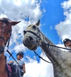 Ворожба, конюшня