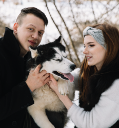 Хаски Блюз, катание в собачьей упряжке