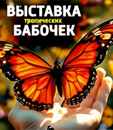Выставка тропических бабочек и авторские мастер‑классы со скидкой до 40%