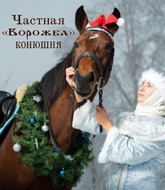 Незабываемые прогулки на лошадях со скидкой до 50% от частной конюшни «Ворожба»