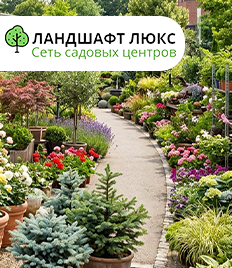 Жара скидок: озеленение участка выгодно с садовым центром «Ландшафт Люкс»