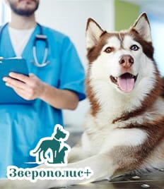 Ветеринарная клиника