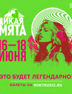 Легендарный фестиваль «Дикая Мята» 2023 16-18 июня