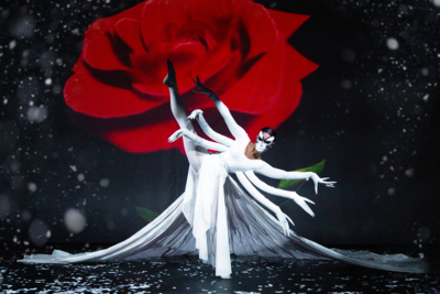 Театр Будущего Лилии Тим приглашает Вас на яркие экшн-шоу со скидкой 16%! 