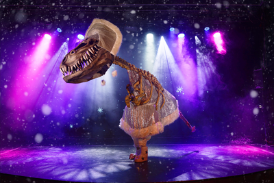 Театр Будущего Лилии Тим приглашает Вас на яркие экшн-шоу со скидкой 16%! 