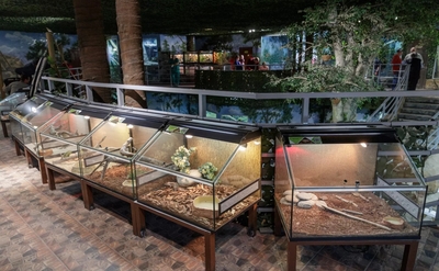 Зимний холод нипочём — в зоопарк с тобой пойдем!  Жаркая акция в Тульском Экзотариуме для родителя и ребёнка вместе с Хомсбокс!