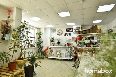 Азалия (цветочный магазин)