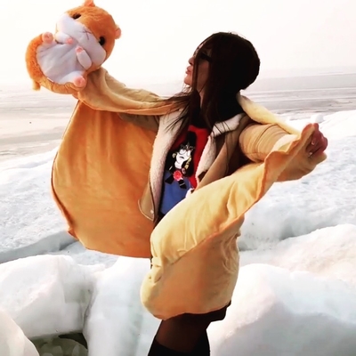 Пушистый хомячок с пледом