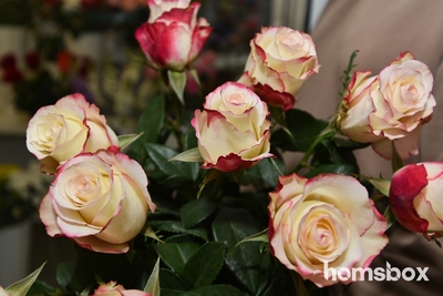 Азалия (цветочный магазин)