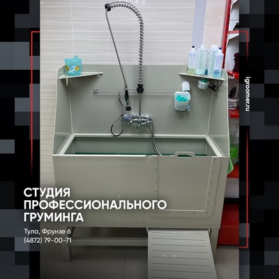 Груминг на фрунзе