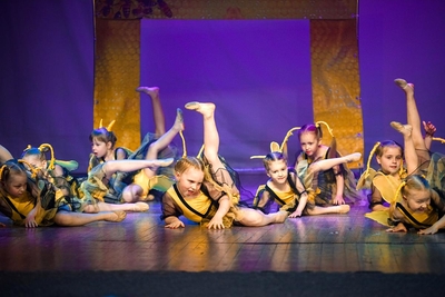 Студия хореографии и фитнеса «Визит»