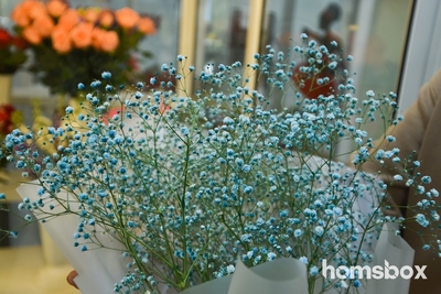 Азалия (цветочный магазин)