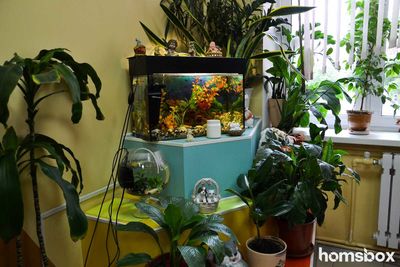 Стоматологический кабинет Зайка