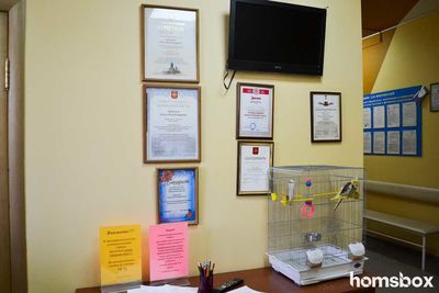 Стоматологический кабинет Зайка