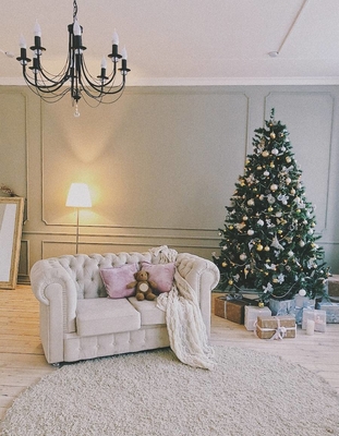 Фотостудия Pavilion