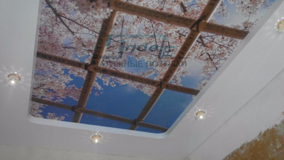 «Sindel» натяжные потолки