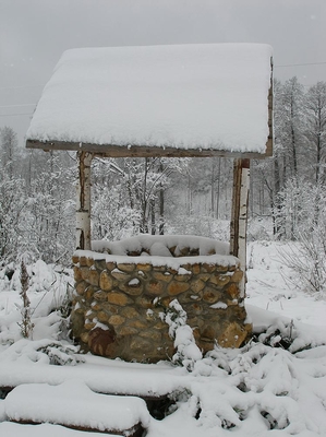 Загородный комплекс «Сафари Паркъ»  дарит скидки до 56% на отдых, развлечения и многое другое!