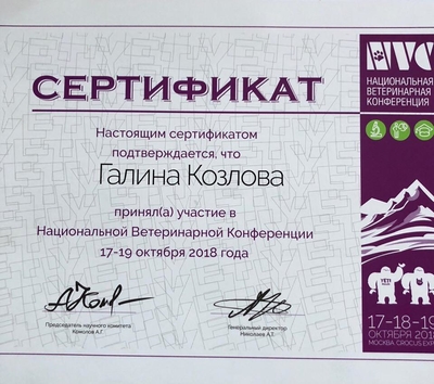 Happy Dog — зоопсихолог-кинолог Галина Козлова