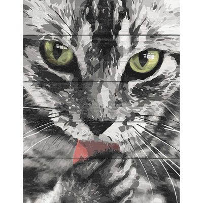 Творчество71