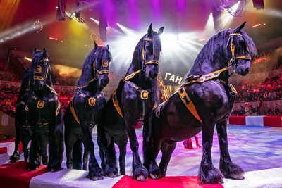 ДВА билета по цене ОДНОГО на новую программу «БАЛАГАН» в Тульском цирке!