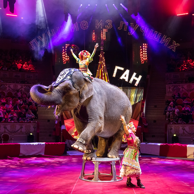 ДВА билета по цене ОДНОГО на новую программу «БАЛАГАН» в Тульском цирке!