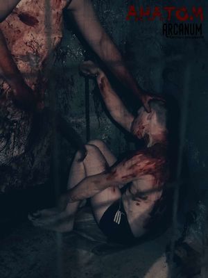 квест АНАТОМ в Туле