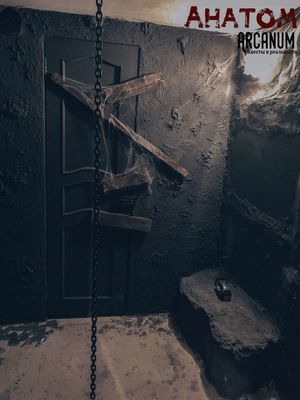 квест АНАТОМ в Туле