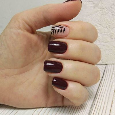 Студия красоты Фламинго