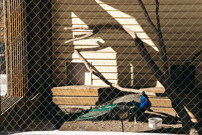 Отдохните душой и телом в эко-отеле «Кочаки»! Комфортабельные коттеджи и баня со скидкой до 50%!