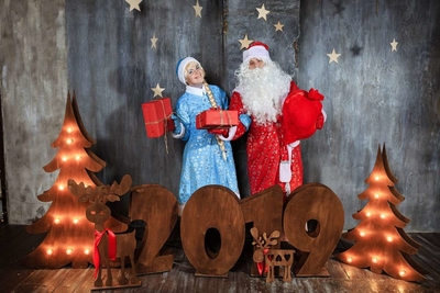 Дед Мороз на дом