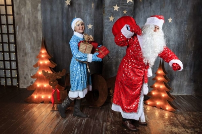 Дед Мороз на дом