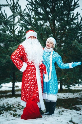 Дед Мороз на дом