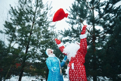 Дед Мороз на дом