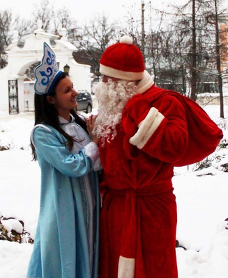 Дед Мороз на дом