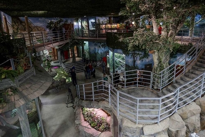 Зимний холод нипочём — в зоопарк с тобой пойдем!  Жаркая акция в Тульском Экзотариуме для родителя и ребёнка вместе с Хомсбокс!