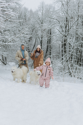 Хаски Блюз, катание на хаски