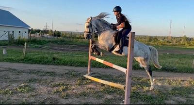 Ворожба, конюшня