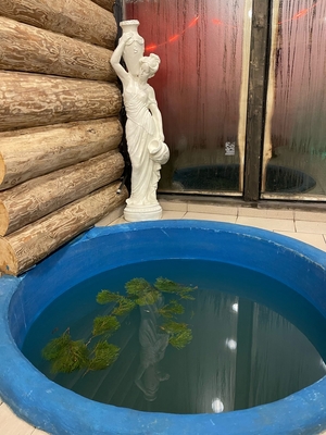 Попарься в новой бане «Пушка» со скидкой до 50%!