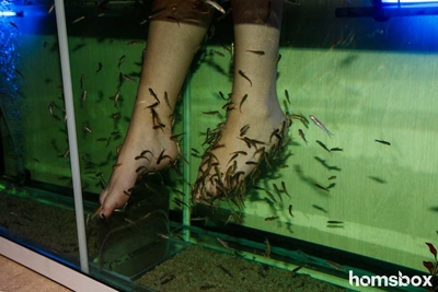 Fish Spa Center рыботерапия