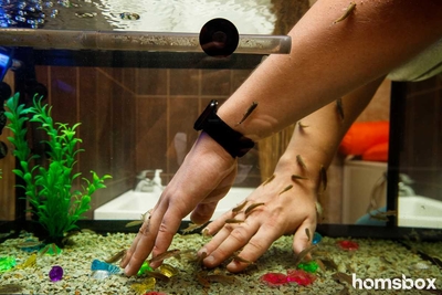 Fish Spa Center рыботерапия