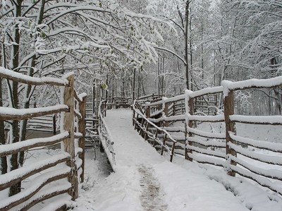 Загородный комплекс «Сафари Паркъ»  дарит скидки до 56% на отдых, развлечения и многое другое!