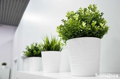 Лазерная Эпиляция EPL Laser