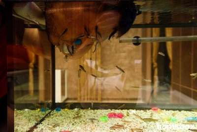 Fish Spa Center рыботерапия