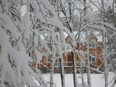 Загородный комплекс «Сафари Паркъ»  дарит скидки до 56% на отдых, развлечения и многое другое!